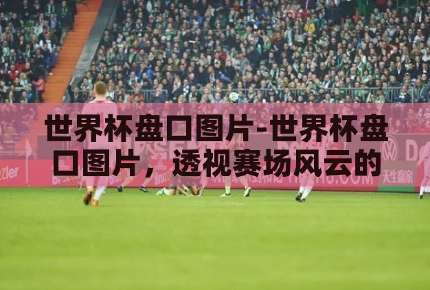 世界杯盘口图片-世界杯盘口图片，透视赛场风云的独特视角
