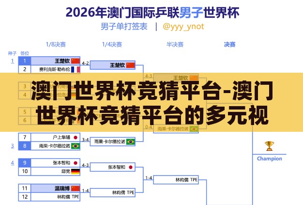 澳门世界杯竞猜平台-澳门世界杯竞猜平台的多元视角与风险考量