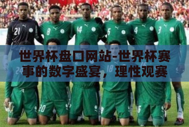 世界杯盘口网站-世界杯赛事的数字盛宴，理性观赛与合法参与