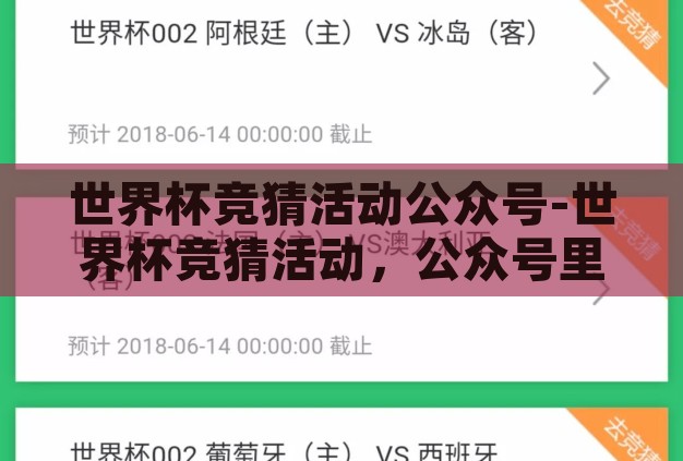 世界杯竞猜活动公众号-世界杯竞猜活动，公众号里的激情与智慧碰撞
