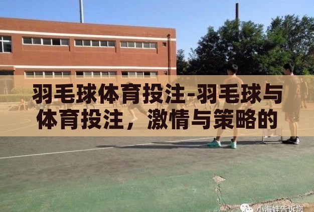 羽毛球体育投注-羽毛球与体育投注，激情与策略的碰撞