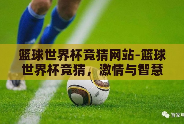 篮球世界杯竞猜网站-篮球世界杯竞猜，激情与智慧的碰撞