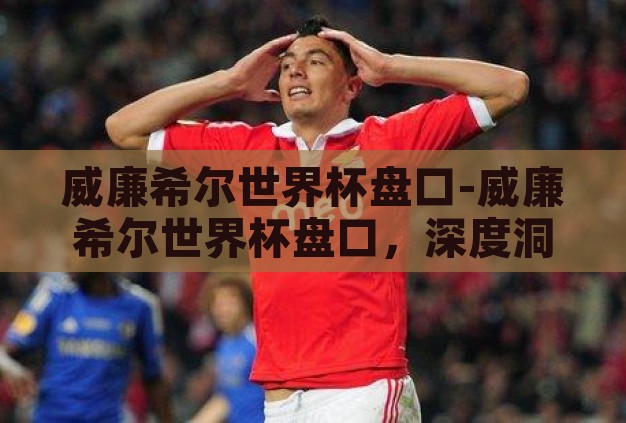 威廉希尔世界杯盘口-威廉希尔世界杯盘口，深度洞察与策略指南